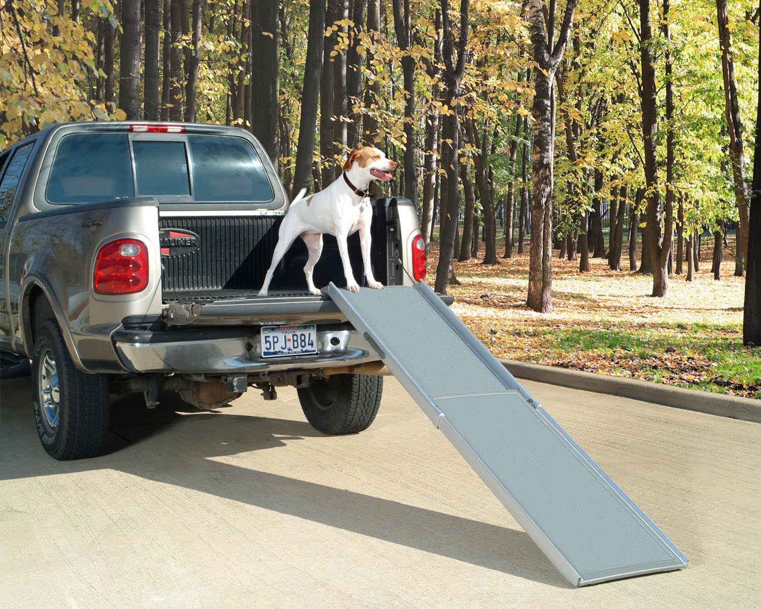 larger image wooden folding dog ramp lightweight plastic dog ramps
